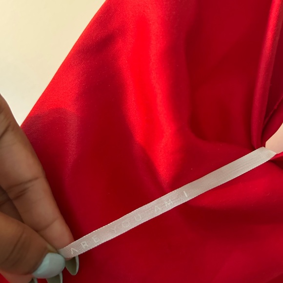 ARE YOU AM I Nique Dress in Cherry Red - Picture 4 of 4